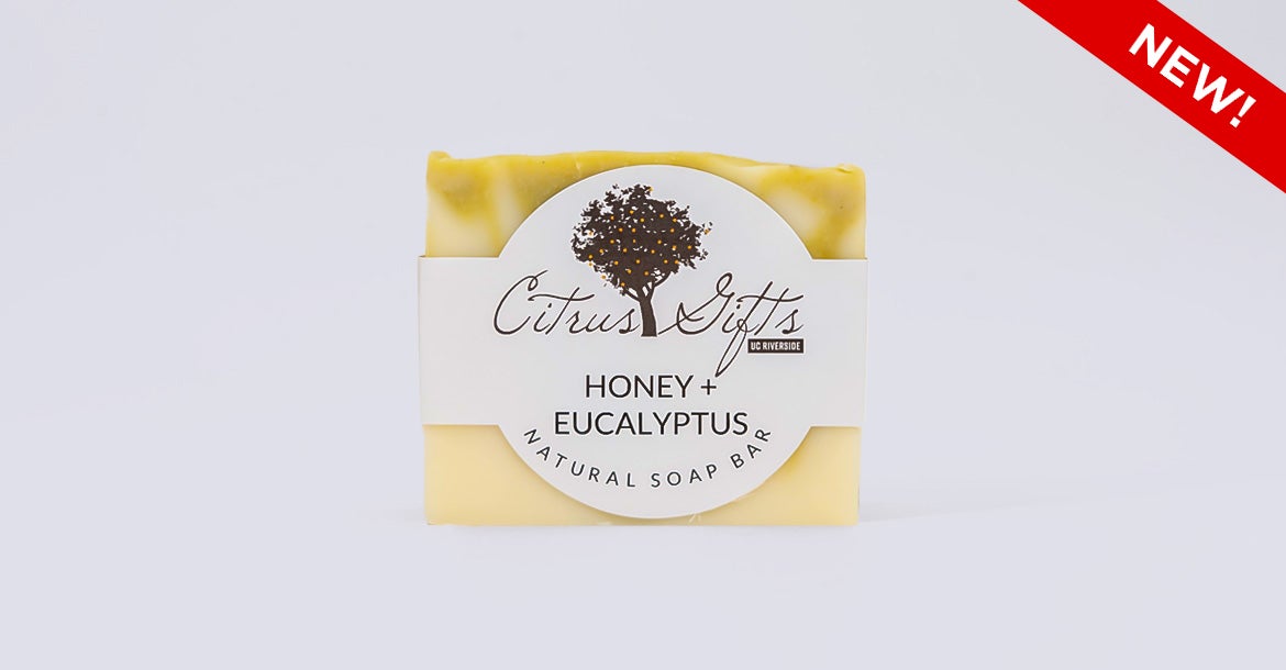 Honey + Eucalyptus Natural Soap Bar