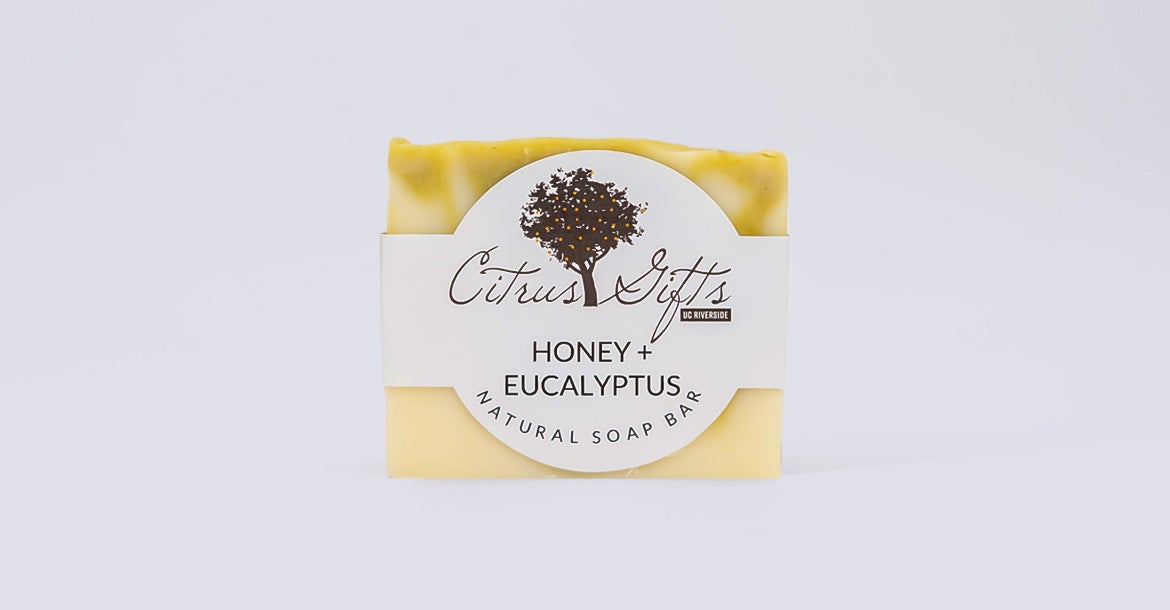 Honey + Eucalyptus Natural Soap Bar