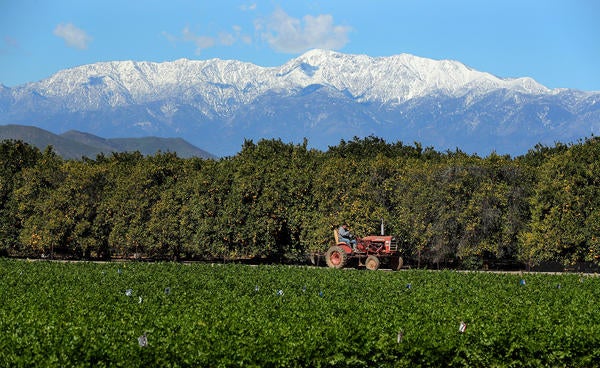 Tractor on UCR Farm